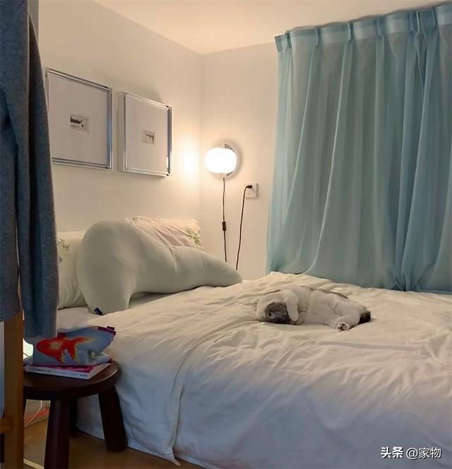 火了因小家井然有序走红网友：独居太舒服AG真人app北京姑娘的30㎡LOFT(图2)