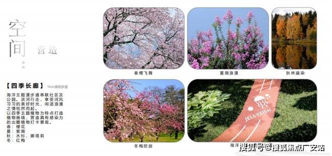 025楼盘评测_售楼处电话丨房价丨详情丨地址丨楼盘百科详情AG真人平台国贸虹桥璟上(国贸虹桥璟上售楼处)首页网站-2(图39)